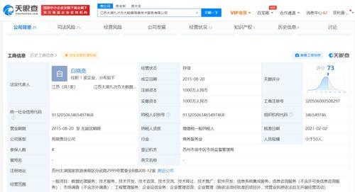 信息系統(tǒng)集成 數(shù)字時代的核心競爭力